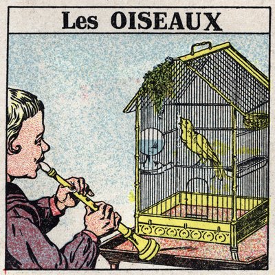 تأثيرات الموسيقى: صوت الفلوت يجعل الطائر يغني في قفص. رسم توضيحي مجهول من عام 1925. مجموعة خاصة. بواسطة مجهول مجهول