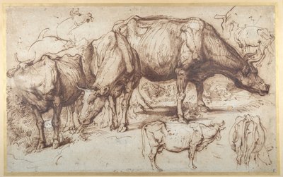 Cattle in Pasture, c.1618-20 (pen & ink with wash on paper) بواسطة أنتوني فان ديك