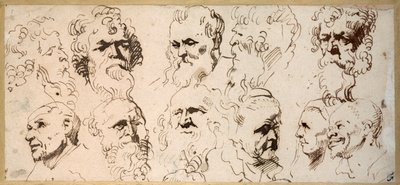 Eleven head studies (pen & brown ink on paper) بواسطة أنتوني فان ديك