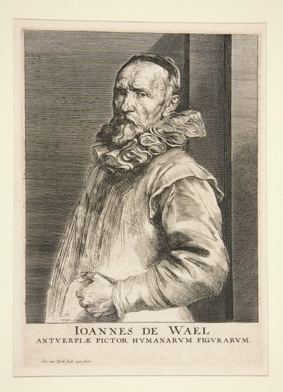 صورة لجون البرية (1558-1633) بواسطة أنتوني فان ديك