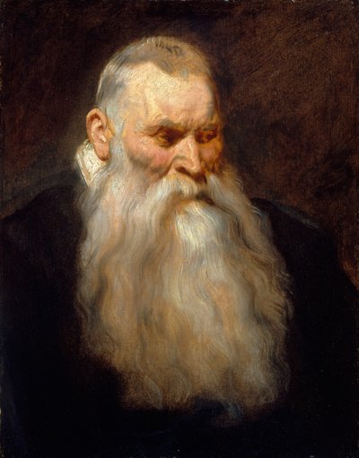 رئيس دراسة لرجل عجوز ذو لحية بيضاء ، كاليفورنيا. 1617-20. بواسطة أنتوني فان ديك