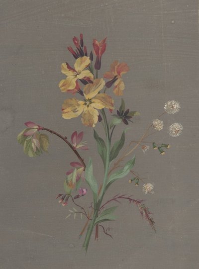 تصميم الأزهار ، كاليفورنيا. 1820. بواسطة أنطوان برجون