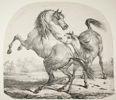 قتال الخيول البرية ، c.1820 بواسطة أنطوان تشارلز هوراس فيرنيه
