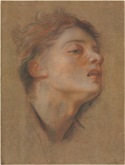 رأس شاب ، 1715-1717. بواسطة انطوان كويبل