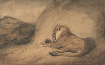 يستريح الأسد ، 1810-1875. بواسطة أنطوان لويس باري