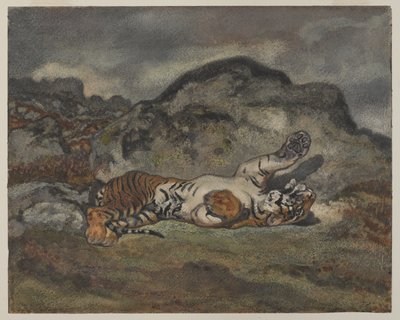 رولينج تايجر ، c.1840 (مرحاض على ورق) بواسطة أنطوان لويس باري