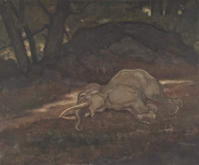 فيل نائم ، 1810-1875. بواسطة أنطوان لويس باري