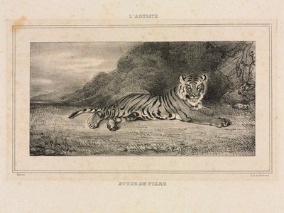 دراسة النمر 1832. بواسطة أنطوان لويس باري