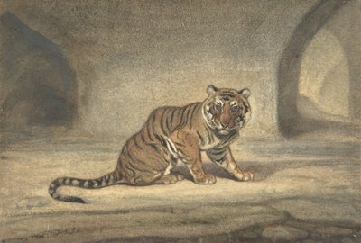 النمر ، 1810-1875. بواسطة أنطوان لويس باري