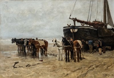  بواسطة انطون موف