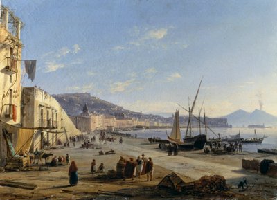 View of Naples with Vesuvius in background بواسطة انطون سيمينك بيتلو