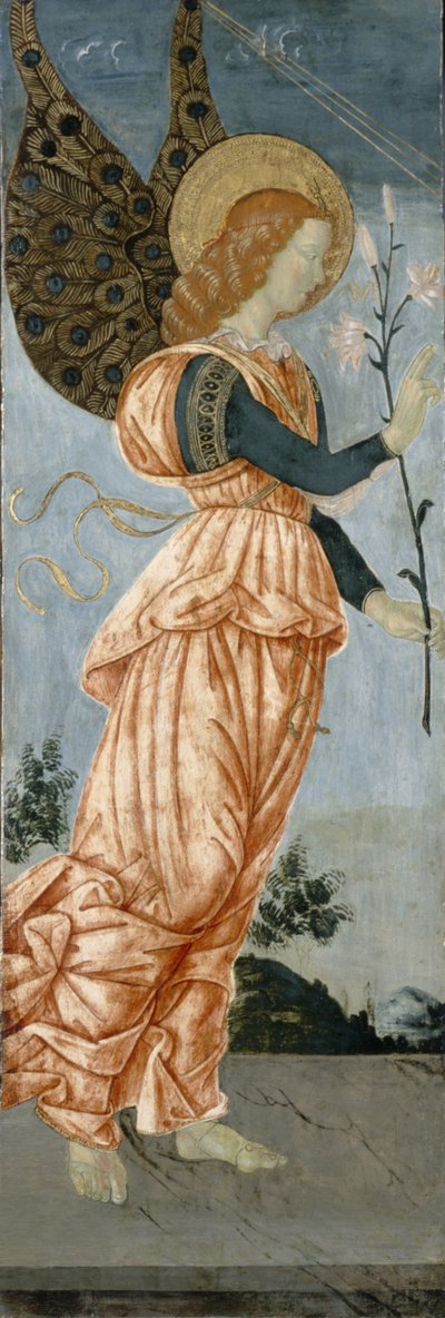 ملاك البشارة ، c.1500 (درجة حرارة على خشب الحور) بواسطة أنطونيازو رومانو