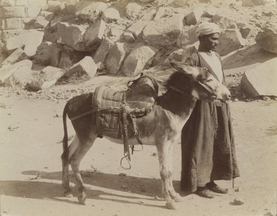 بورييه وبوريكير ، مصر بواسطة أنطونيو بيتو