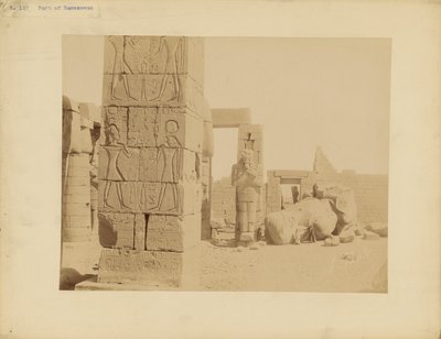  بواسطة أنطونيو بيتو