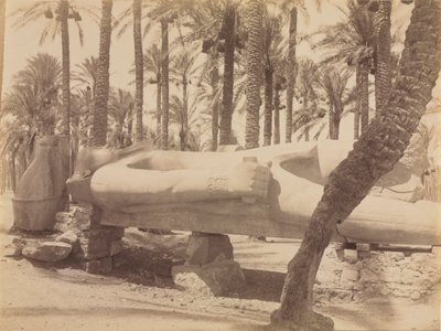 تمثال رمسيس بسقارة ، ج. 1870 - 1880. بواسطة أنطونيو بيتو