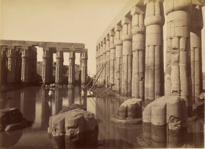  بواسطة أنطونيو بيتو