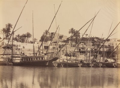 منظر أسوان - على طول النيل ، ج. 1870 - 1880. بواسطة أنطونيو بيتو