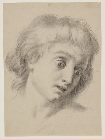 رأس صبي بواسطة Antonio Cavallucci
