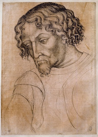 Bust of bearded man, three-quarters head leaning to the left. Drawing of the workshop Antonio di Puccio Pisano dit Pisanello (1395-1455). Feather (drawing), blood. Dim: 28x20cm. Louvre, drawing firm بواسطة أنطونيو بيسانيلو