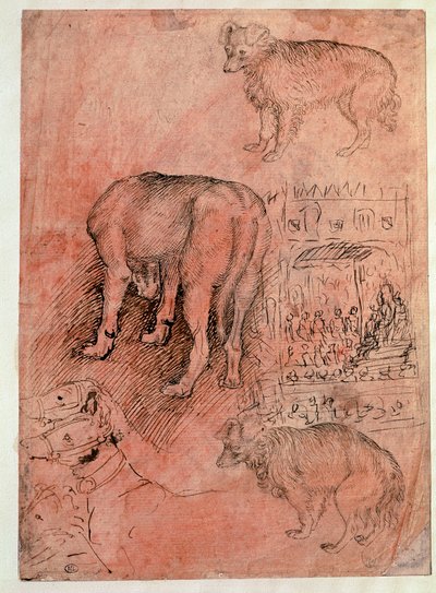 دراسات الكلاب. حلقة أوليك. رسم أنطونيو بيسانو ديت إيل بيسانيلو (1380-1455) بواسطة أنطونيو بيسانيلو