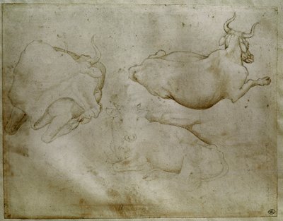 بقرتان وعرعر. رسم أنطونيو دي بوتشيو بيسانو ديت بيسانيلو (1395-1455). التمرير ، طرف معدني. الإرتفاع: ١٧.٦ سم. متحف اللوفر ، مجلس الوزراء medailles بواسطة أنطونيو بيسانيلو