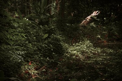 الضوء والظلال، 2025 (تصوير رقمي) بواسطة أنطونيو شوبيرت