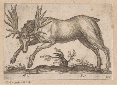 إيلاند موس / موس (العنوان على الكائن) Dieren en fablewezens (عنوان المسلسل) مجموعة جديدة من أكثر الحيوانات فضولاً في العالم (عنوان المسلسل) بواسطة انطونيو تمبيستا