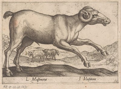 ماعز L Mussimonae / I Musimone (العنوان على الكائن) Dieren en fablewezens (عنوان المسلسل) مجموعة جديدة من أكثر الحيوانات فضولاً في العالم (عنوان المسلسل) بواسطة انطونيو تمبيستا