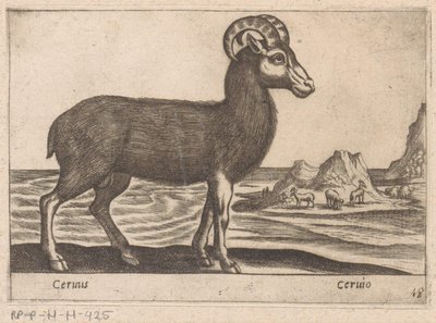 الأحجار الكريمة Cerinis / Ceruio (العنوان على الكائن) Dieren en fabelwezens (عنوان المسلسل) مجموعة جديدة من أكثر الحيوانات فضولاً في العالم (عنوان المسلسل) بواسطة انطونيو تمبيستا