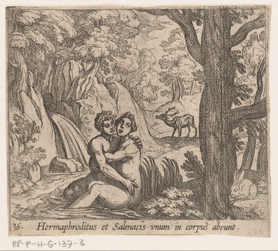Salmacis و Hermaphroditus يترك Hermaphroditus و Salmacius جسدًا واحدًا (العنوان على الكائن) Metamorphoseon أو التحويلات (عنوان السلسلة) ميتامورفوسين فان أوفيديوس (عنوان المسلسل) بواسطة انطونيو تمبيستا