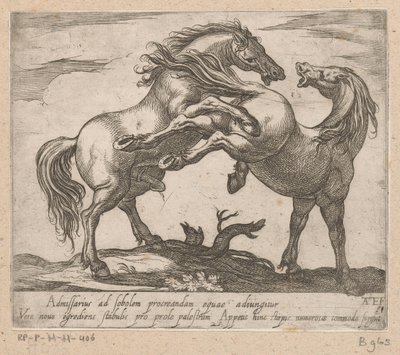 Twee parende باردين Paarden uit verschiedelden Landen (عنوان المسلسل) مع هؤلاء القادة سوف يتم الاحتفال بك كقائد ذو فم فيرو. بواسطة انطونيو تمبيستا