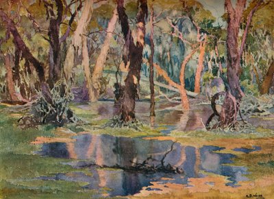 "Quindanning Pool" ، c1927 بواسطة أرشيبالد بيرترام ويب