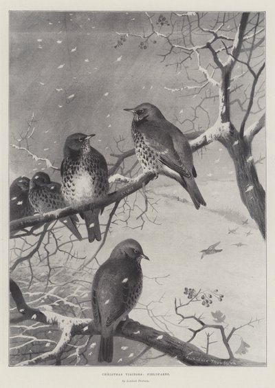 زوار عيد الميلاد ، الحقول بواسطة Archibald Thorburn