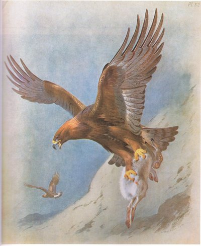 النسر الذهبي وجبل هير ، حانة. بواسطة Book Club Associates ، 1972 بواسطة أرشيبالد ثوربورن
