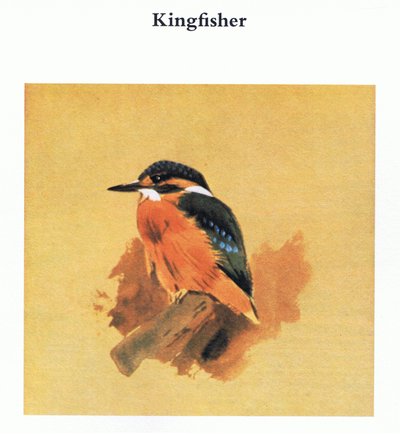 الرفراف ، حانة. بواسطة Book Club Associates ، 1972 بواسطة أرشيبالد ثوربورن