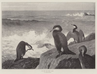 على الساحل الغربي البري بواسطة Archibald Thorburn