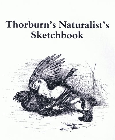 Title Page (Stoat and Gamebird), pub. by Book Club Associates بواسطة أرشيبالد ثوربورن