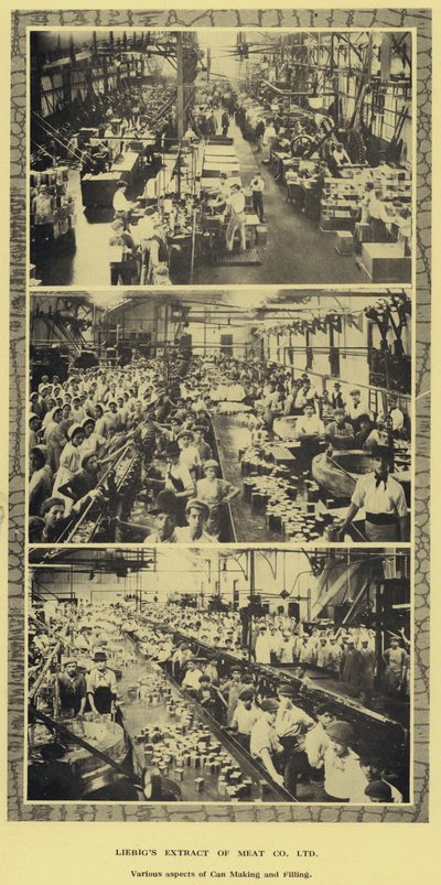 Can making and filling, factory of the Liebig Extract of Meat Company, Ltd, Argentina (b/w photo) بواسطة مصور أرجنتيني