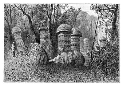 أطلال معبد Ahom ، Dinajpur ، آسام العليا ، الهند ، 1895. بواسطة أرماند كول