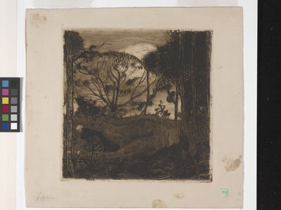 Le Soir (مساءً) أو La Glaneuse (The Gleaner) (حفر ، مائية ، لافيس وروليت) بواسطة أرماند سيجين