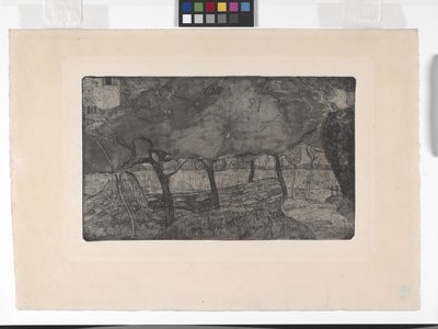Les Pommiers (أشجار التفاح) (النقش والأكواتينت والنقطة الجافة) بواسطة أرماند سيجين