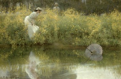 فقدت المظلة بواسطة آرثر هاكر