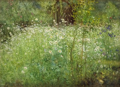 Oxeye Daisies and Irises ، 1920 بواسطة آرثر هاكر