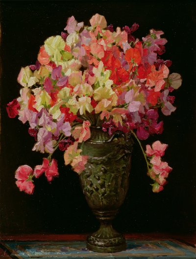 Sweetpeas ، الصيف الوحي ، 1930 (مجلس) بواسطة آرثر هربرت بوكلاند