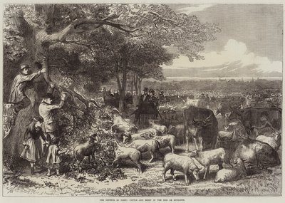 الدفاع عن باريس ، الماشية والأغنام في Bois de Boulogne بواسطة Arthur Hopkins
