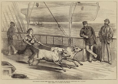 The Prince&39;s Voyage Home from India، Life on Board of Serapis، ممارسة الجاينز بواسطة Arthur Hopkins
