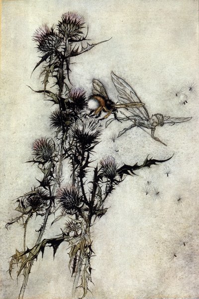 رسم إيضاحي لآرثر راكهام (1867-1939) لحلم ليلة صيفية بقلم ويليام شكسبير بواسطة آرثر راكهام