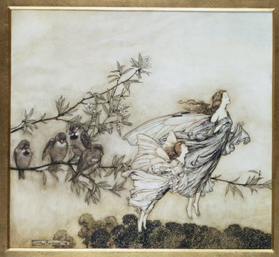 الجنيات لديهم مشاجرة مع الطيور ، 1906 توضيح لبيتر بان في حدائق كينسينغتون بواسطة JM Barrie ، حانة. 1906 (حبر ومرحاض) بواسطة آرثر راكهام