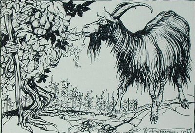 The Goat and the Vine ، رسم توضيحي من "أساطير إيسوب" ، نشره Heinemann بواسطة آرثر راكهام