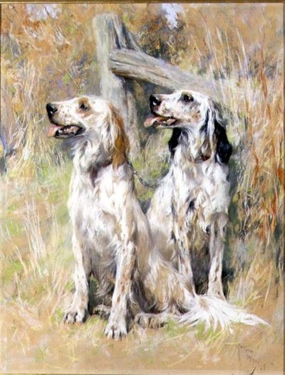 الإنجليزية Setters بواسطة Stile بواسطة آرثر واردل